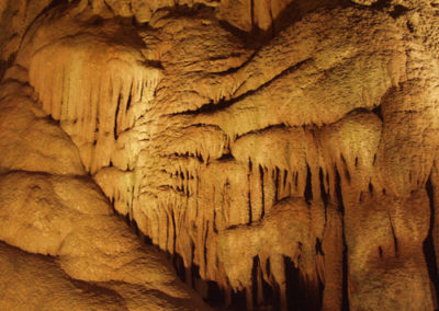 Thing To Do Attractions & Activities